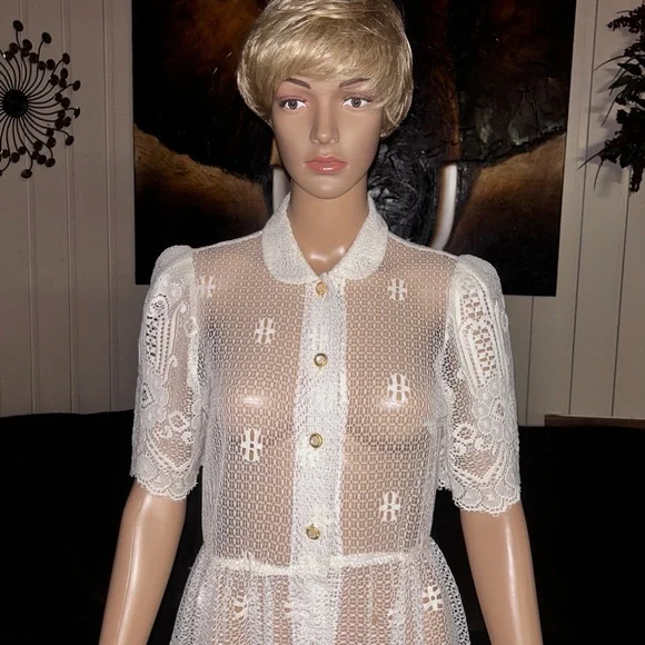 Vintage (1960’s) USA ~ Size 6 ~ Net Floral Lace Edwardian Embroidery Sexy Dress - Picture 8 of 16